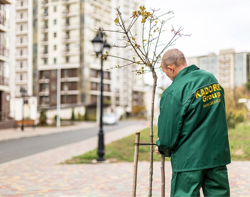 Власна служба експлуатації